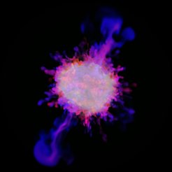 Entstehung von Asymmetrien in einer dreidimensionalen Computersimulation einer Supernovaexplosion.